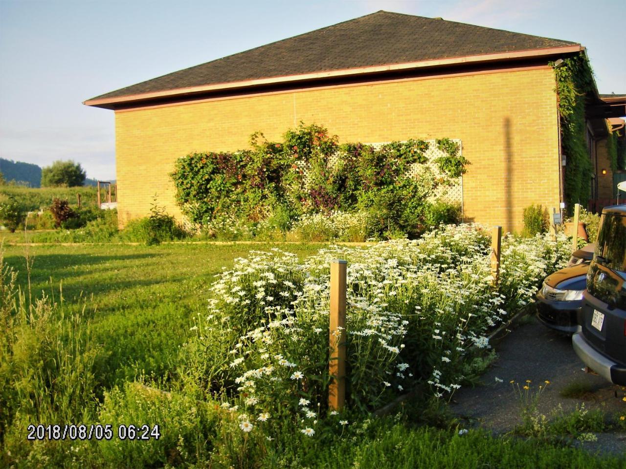 Auberge Internationale La Vieille École Sainte Anne-des-Chênes Exterior foto