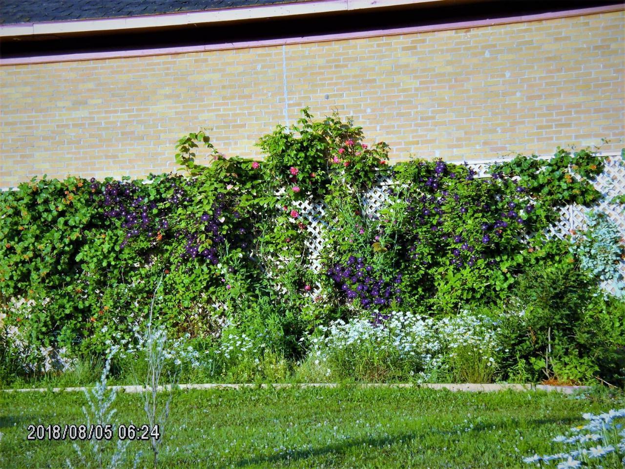 Auberge Internationale La Vieille École Sainte Anne-des-Chênes Exterior foto