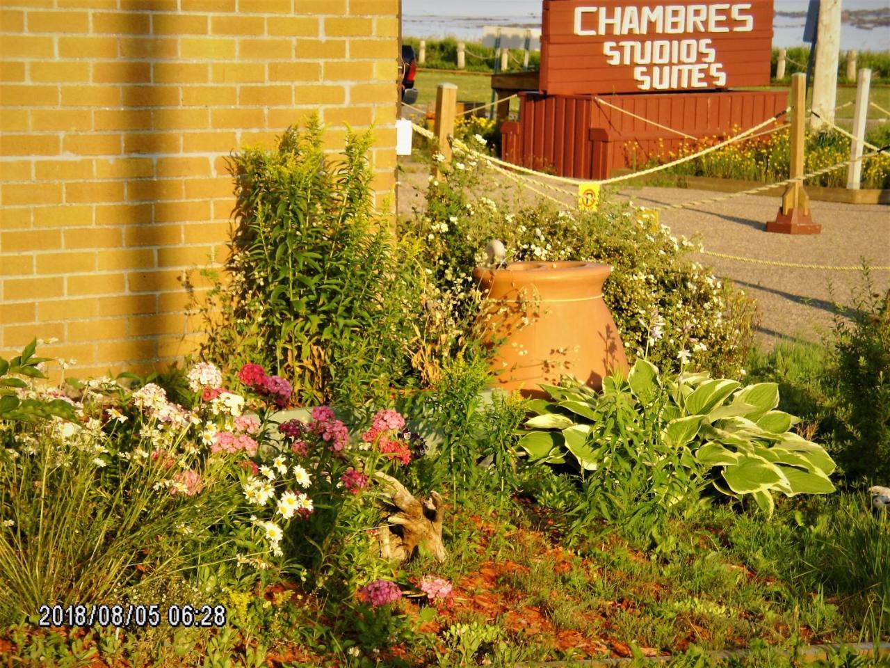 Auberge Internationale La Vieille École Sainte Anne-des-Chênes Exterior foto