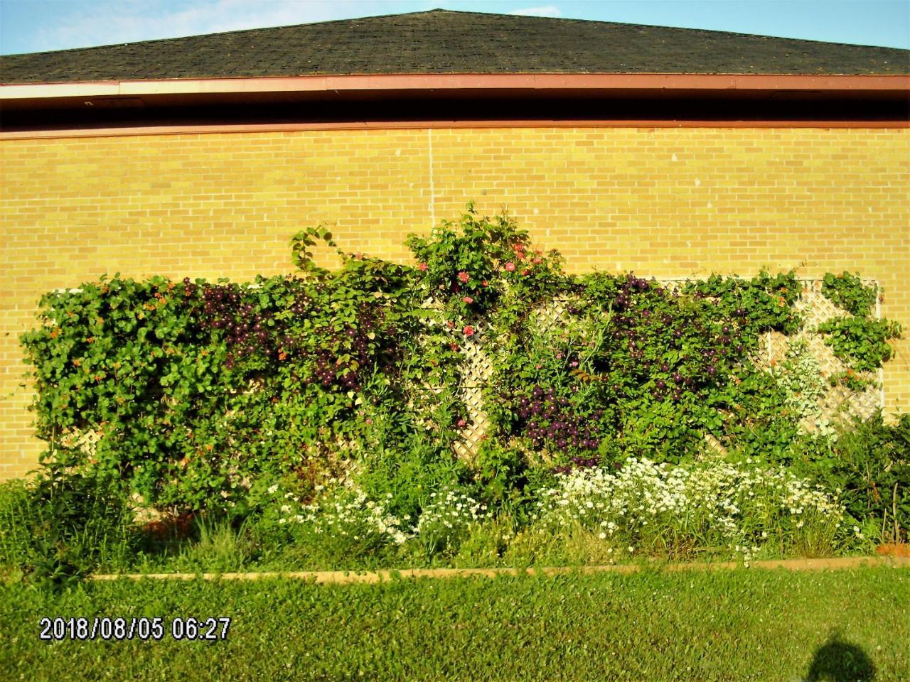 Auberge Internationale La Vieille École Sainte Anne-des-Chênes Exterior foto